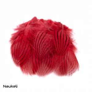 Silver Pheasant - Body Feathers Orange 4 Silver Pheasant - Body Feathers Red